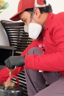 Anti Rayap di Kota Bogor: Perlindungan Penting di Kota Hujan