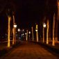Pemandangan malam di salah satu sudut Kota Bogor yang ramai dengan aktivitas, menampilkan gemerlap lampu kota dan suasana yang hidup. Suasana ini mengajak pengunjung untuk menikmati keindahan Bogor setelah matahari terbenam.