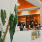 Pemandangan kafe modern di Sentul dengan latar belakang perbukitan hijau, menawarkan suasana tenang dan estetika menawan yang cocok untuk bersantai. Arsitektur minimalis yang berpadu sempurna dengan alam menjadi daya tarik utama bagi para pengunjung yang mencari ketenangan.