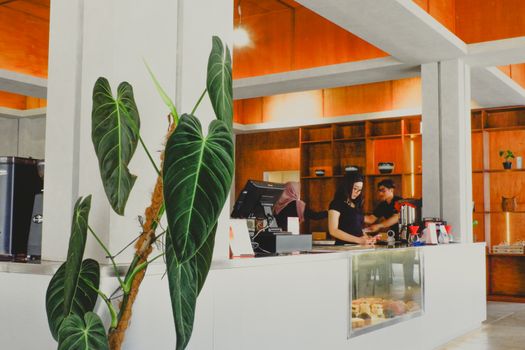 Pemandangan kafe modern di Sentul dengan latar belakang perbukitan hijau, menawarkan suasana tenang dan estetika menawan yang cocok untuk bersantai. Arsitektur minimalis yang berpadu sempurna dengan alam menjadi daya tarik utama bagi para pengunjung yang mencari ketenangan.