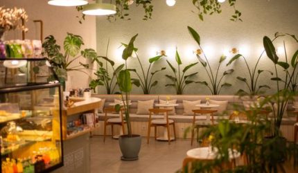Sentul: Surga Kafe Estetik di Tengah Sejuknya Pegunungan