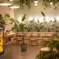 Sebuah kafe modern dengan jendela besar menghadap pemandangan pegunungan hijau yang asri di Sentul, menciptakan suasana tenang dan estetik untuk menikmati secangkir kopi hangat. Interior kafe didominasi material kayu dan pencahayaan hangat, mengundang pengunjung untuk bersantai dan melepaskan penat.