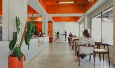 Pesona Sentul: Menjelajahi Lima Kafe Hits dengan Pemandangan Memukau di Akhir Pekan