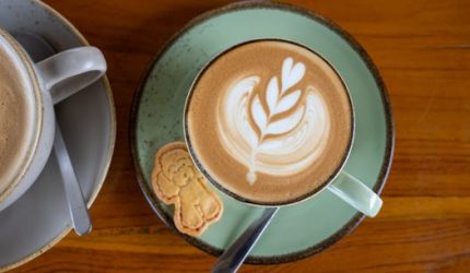 Pesona Tersembunyi Sentul: Lima Kafe Hits dengan Pemandangan Memukau
