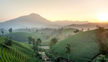 Bogor: Permata Hijau Dekat Ibu Kota, Destinasi Segar Pelepas Penat